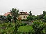 Třibřichy