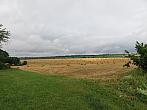 Třibřichy