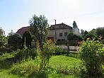 Třibřichy