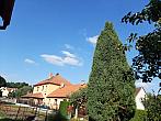 Olešná