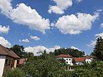 Olešná