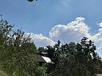 Olešná