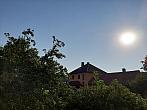 Olešná