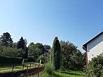Olešná