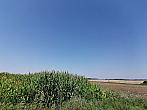 Hostákov