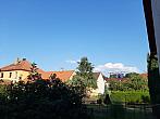 Olešná