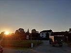 Olešná