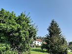 Olešná