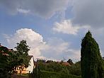 Olešná