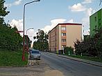 Borovina