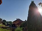 Olešná