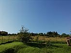 Skalité