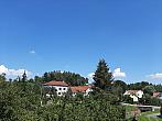 Olešná