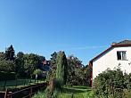 Olešná