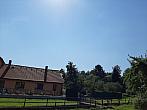 Olešná