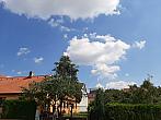 Olešná