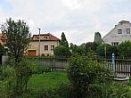 Třibřichy
