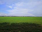 Císařov