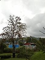 Skalité