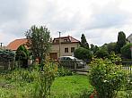 Třibřichy