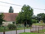 Třibřichy