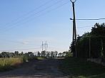 Třibřichy