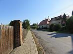 Třibřichy