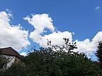Olešná