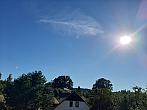 Olešná