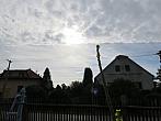 Třibřichy