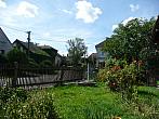 Třibřichy
