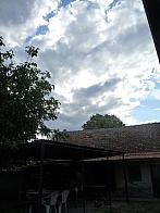 Třibřichy