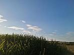Hostákov