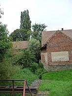 Třibřichy