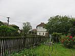 Třibřichy