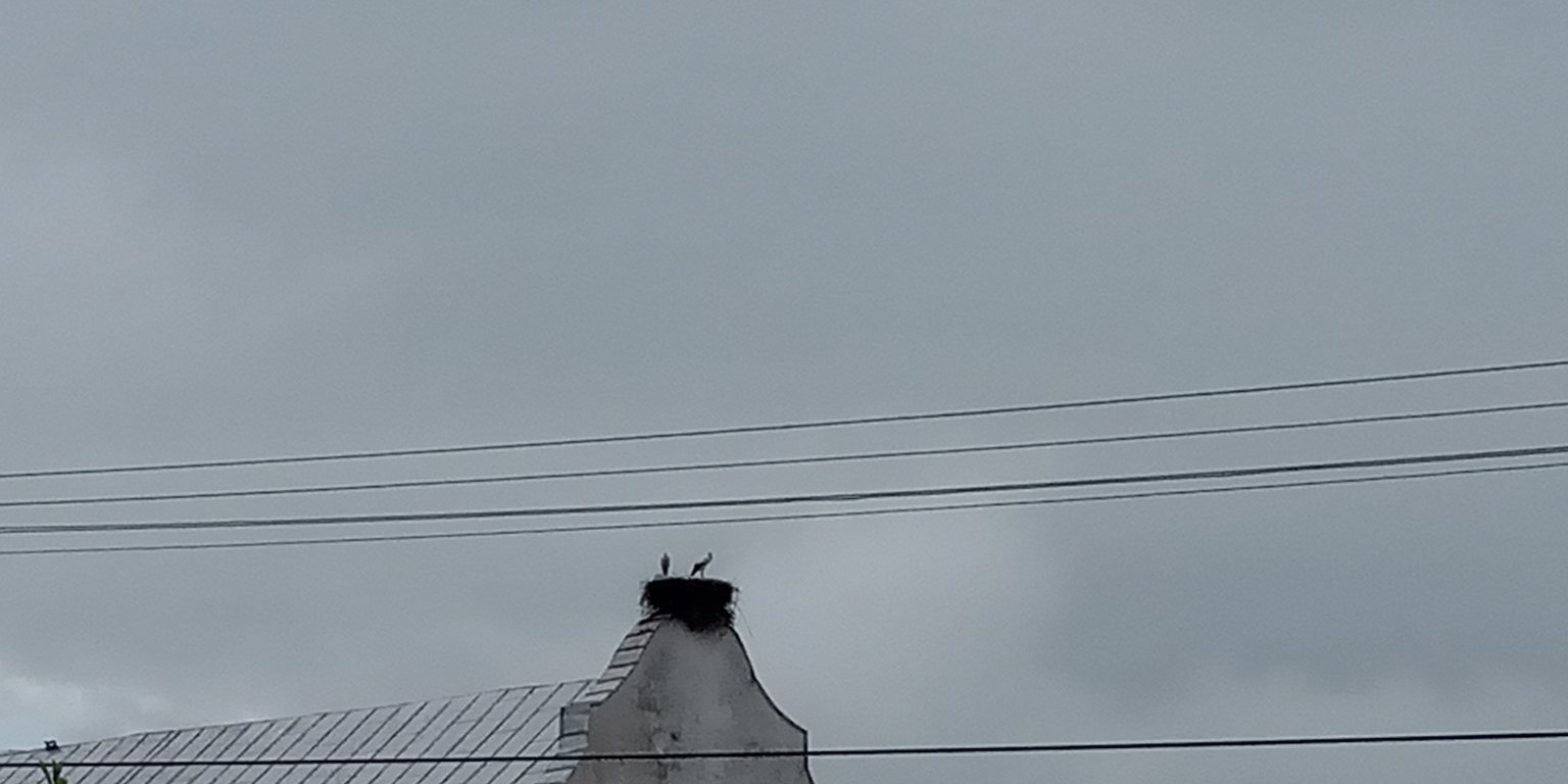Stará Lesná