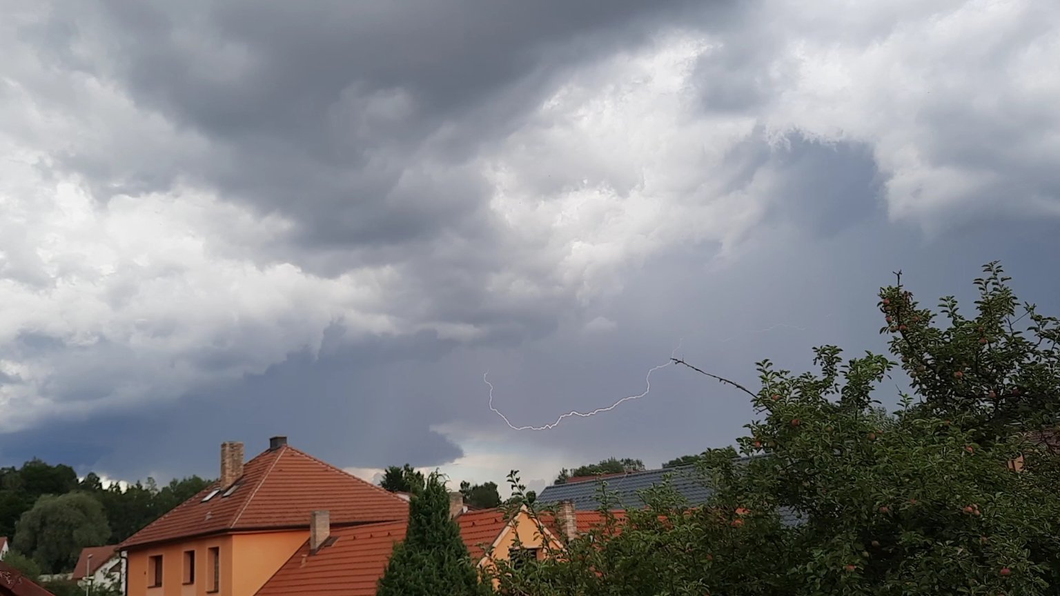 Olešná
