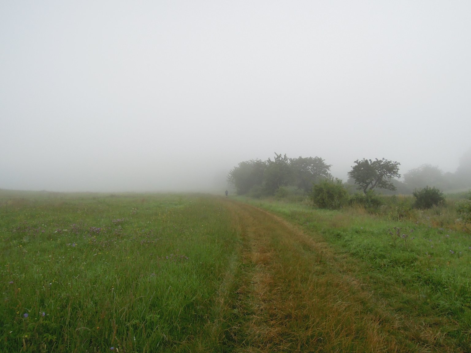 Kravaře