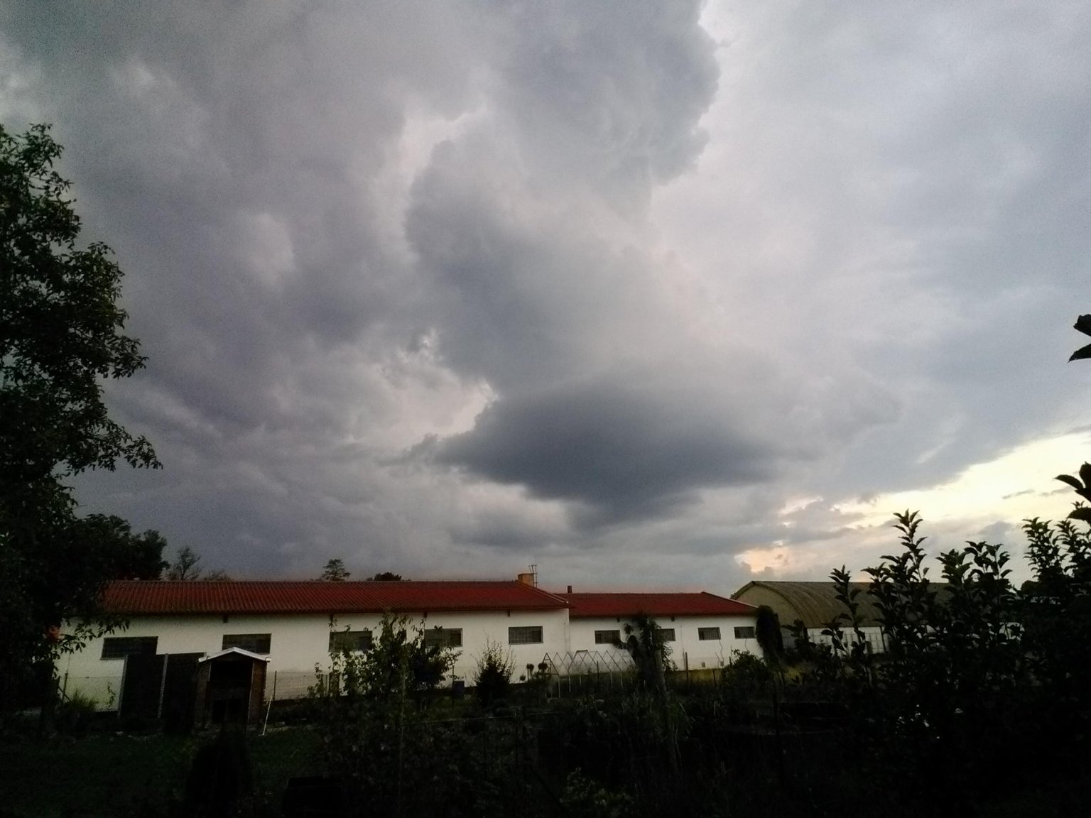 Luže