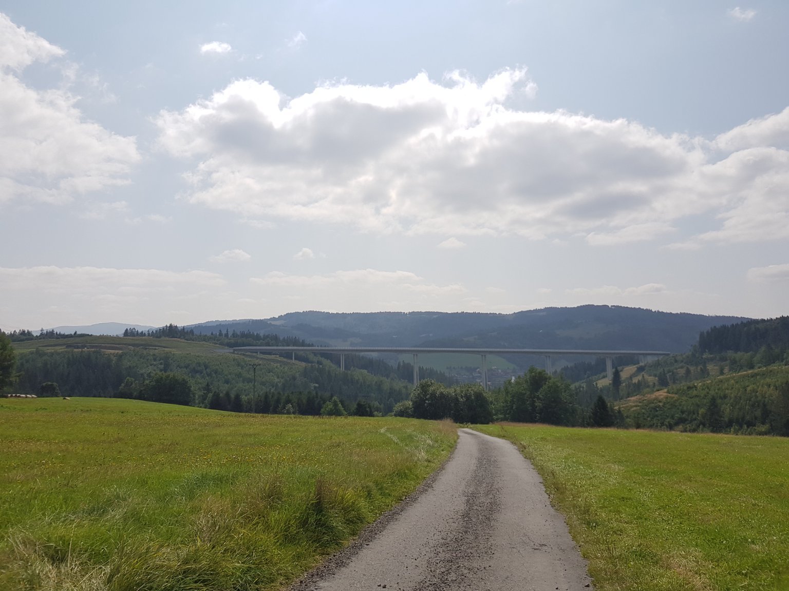 Hrčava