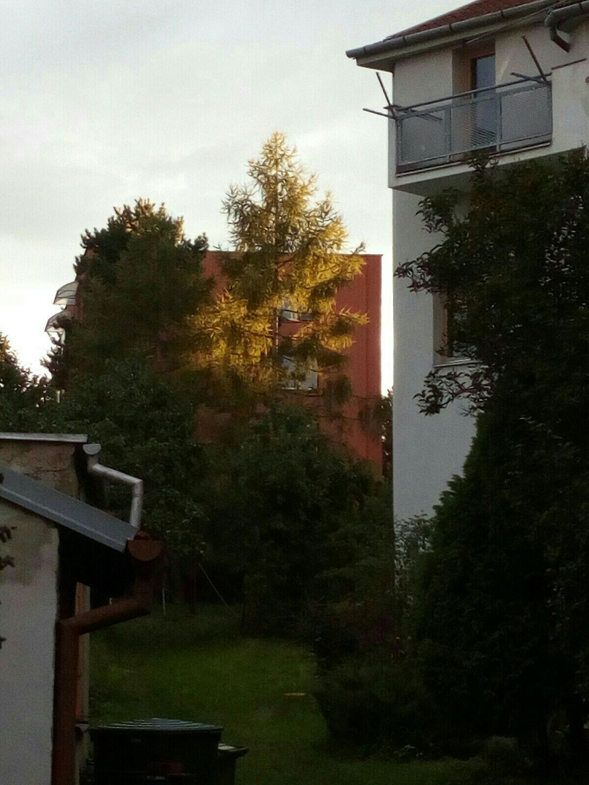 Brno Řečkovice