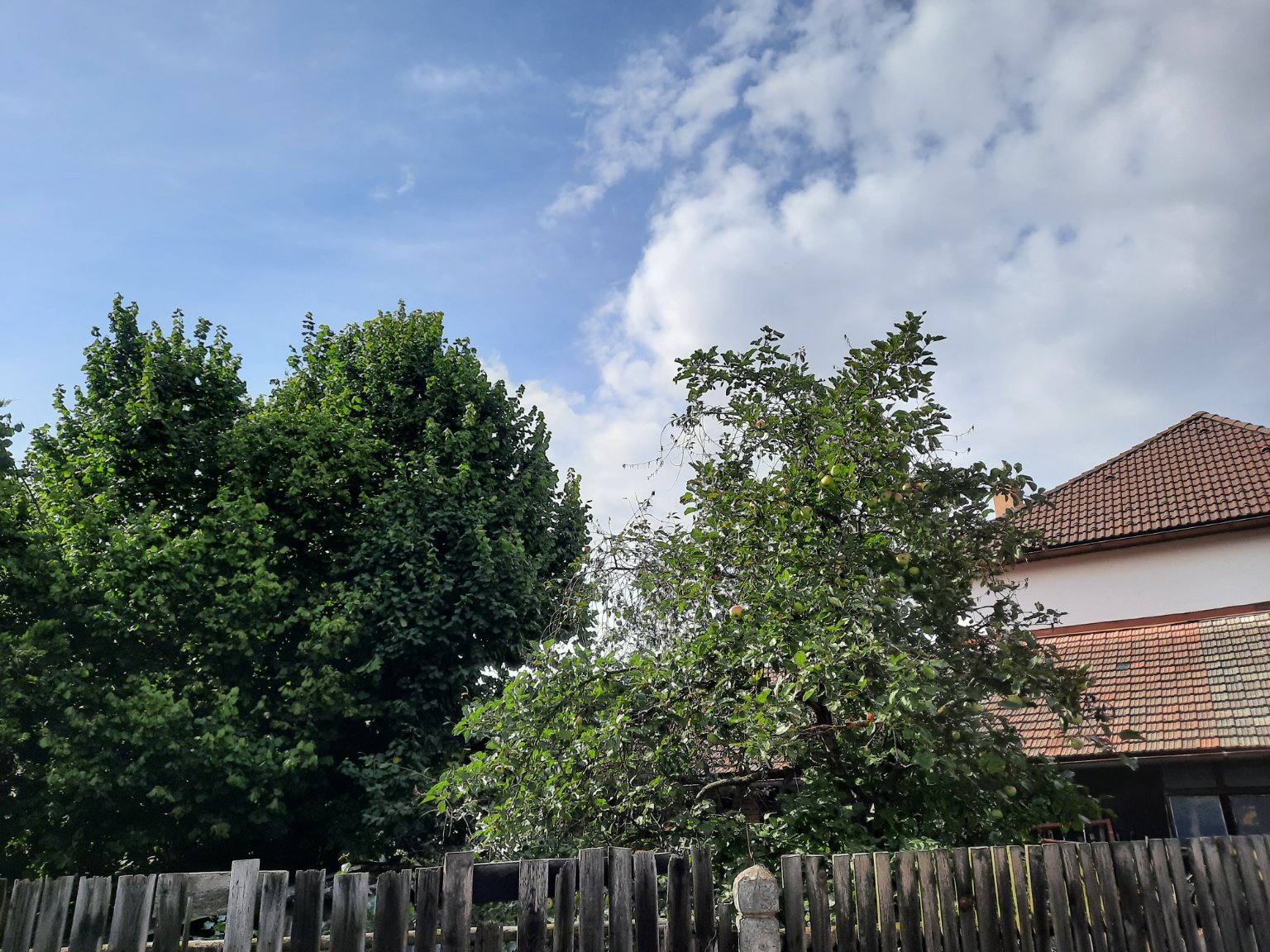 Olešná