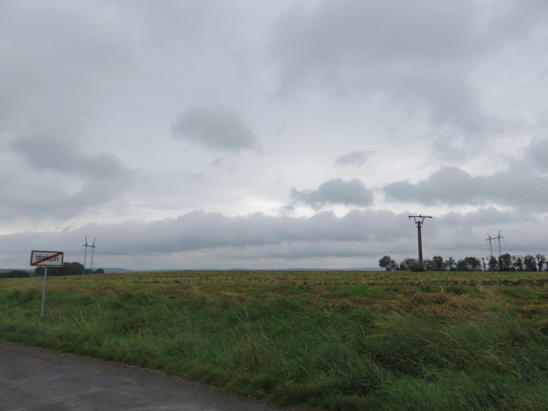 Třibřichy
