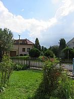 Třibřichy