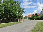 Třibřichy