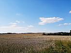 Hostákov