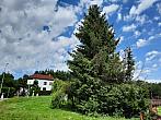 Olešná
