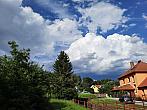Olešná