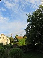 Třibřichy