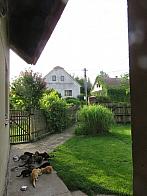Třibřichy